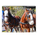 Recherche de équitation à cru Animaux