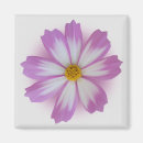 Recherche de transparent magnets Violet