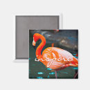 Recherche de de flamant carrés magnets Oiseau