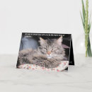 Recherche de chat toutes vœux cartes Pour lui