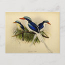 Recherche de martin pêcheur cartes postales Illustration