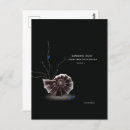 Recherche de éditeur cartes postales Pour tous