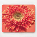 Recherche de gerbera mousepads Marguerite de gerbera