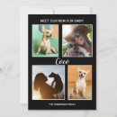 Recherche de fourrure invitations Photo de chien