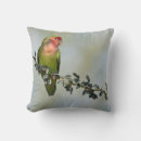 Recherche de inséparables coussins Perroquet