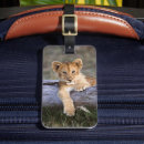 Recherche de kenya luggage tags Animaux dans la nature