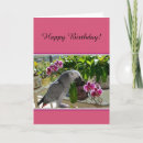 Recherche de le congo vœux cartes Perroquet gris africain