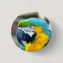 Recherche de perroquets badges Animal