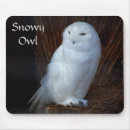 Recherche de hibou neigeux tapis souris Hiver