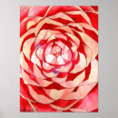 Recherche de camélia posters Rose