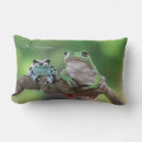 Recherche de grenouille coussins Cool