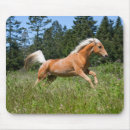 Recherche de palomino tapis souris Champ