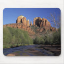 Recherche de chêne tapis souris Environnement