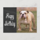 Recherche de anglais anniversaire cartes Chiot