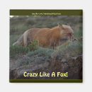 Recherche de fou magnets Nature
