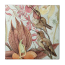 Recherche de illustration de livre vintage carreaux Pour tous