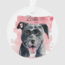 Recherche de bouledogue français tissus Mignon