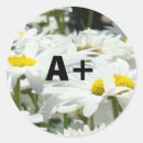 Recherche de niveau autocollants Toute personne