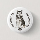 Recherche de malamute badges Dog