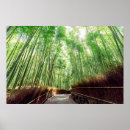 Recherche de arashiyama posters Forêt