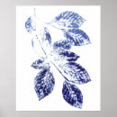 Recherche de de bouleau posters Succursale