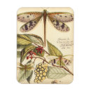 Recherche de libellule magnets Botanique