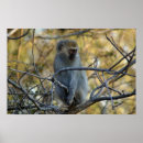 Recherche de babouin art Afrique