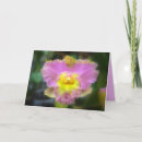 Recherche de orchidée de cattleya vœux cartes Mère