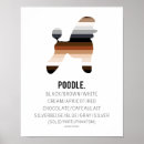 Recherche de miniature posters Caniche