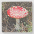 Recherche de nouvelle zélande dessous de verres Forêt