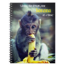 Recherche de singe de bébé carnets Drôle