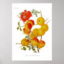 Recherche de peintures japonaises vintages posters Illustration