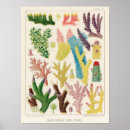Recherche de great barrier reef posters Vintage