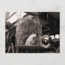 Recherche de cage cartes postales Animaux