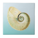 Recherche de nautilus carreaux Nautique