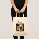 Recherche de photos des chats sacs Rangement