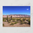 Recherche de cactus cartes postales Montagne