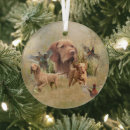 Recherche de hongrois ornements Vizsla