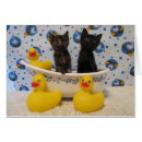 Recherche de frottez les Chaton