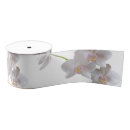 Recherche de orchidée rubans Fleurs