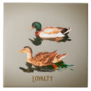 Recherche de canards carreaux Nature