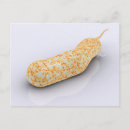 Recherche de microbiologie cartes postales Image de couleur