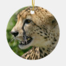 Recherche de guépard ornements Animal sauvage