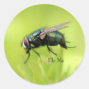 Recherche de flyer autocollants Insecte