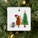 Recherche de hérisson ornements Souris