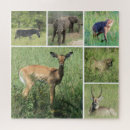 Recherche de l afrique puzzles Animaux