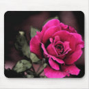 Recherche de hybride tapis souris Nature