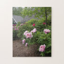 Recherche de peony puzzles Rose