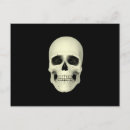 Recherche de crâne humain cartes postales Dents humaines