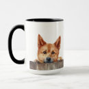 Recherche de spitz tasses Dog